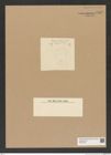 Diatomeae indet. Zeichnungen Sammlung Grunow Nr. 7962 (NHMW-BOT-W0377248)